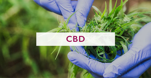 Scopri cos'è il CBD nella Marijuana Legale